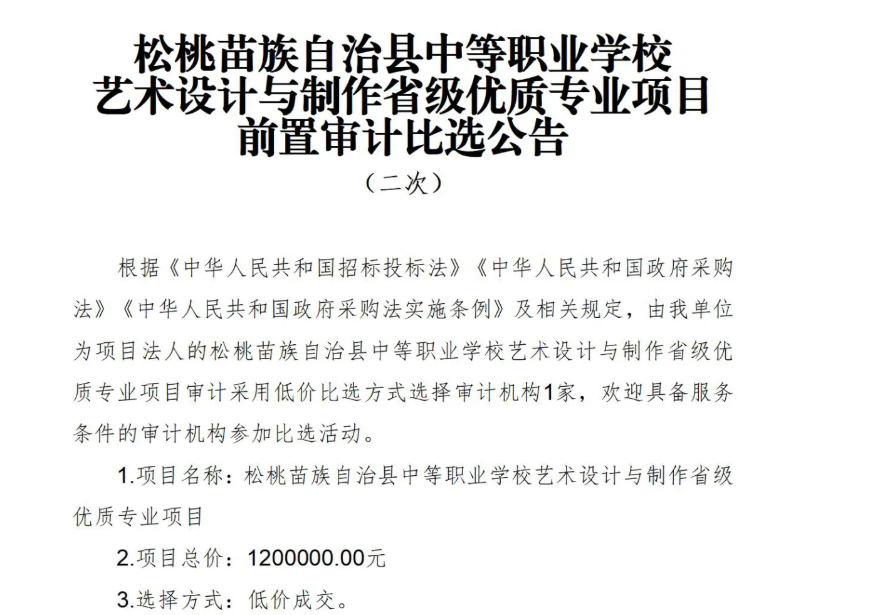 艺术设计与制作省级优质专业项目前置审计比选公告（二次）