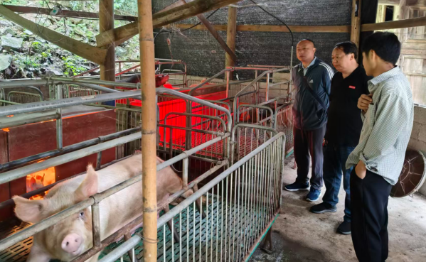 从“几头母猪”到“年入20万”：松桃职校优秀毕业生简坪的返乡创业逆袭记