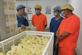深化产教融合 助力专业发展 —— 我校畜禽生产技术专业走进龙头企业开展调研